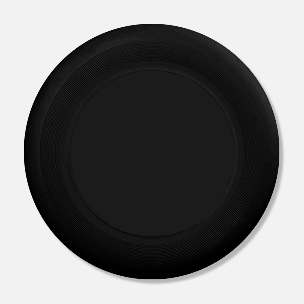 Custom Logo Plastic Flying Disc