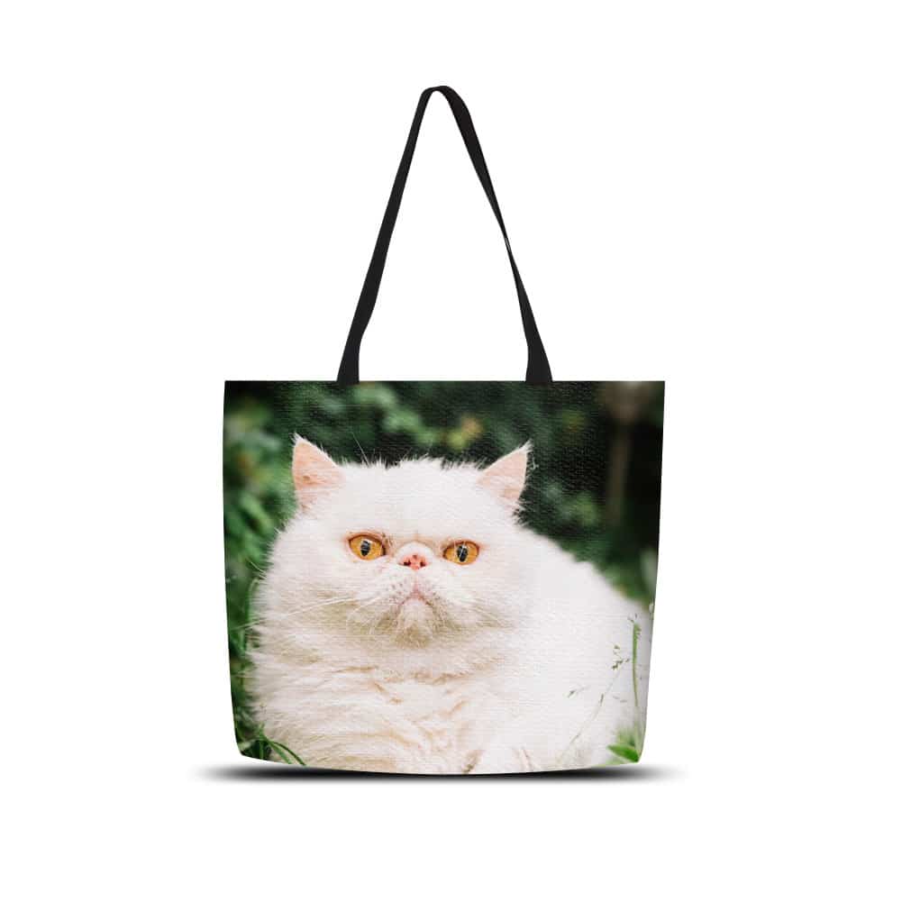 Canvas Shopping Bag