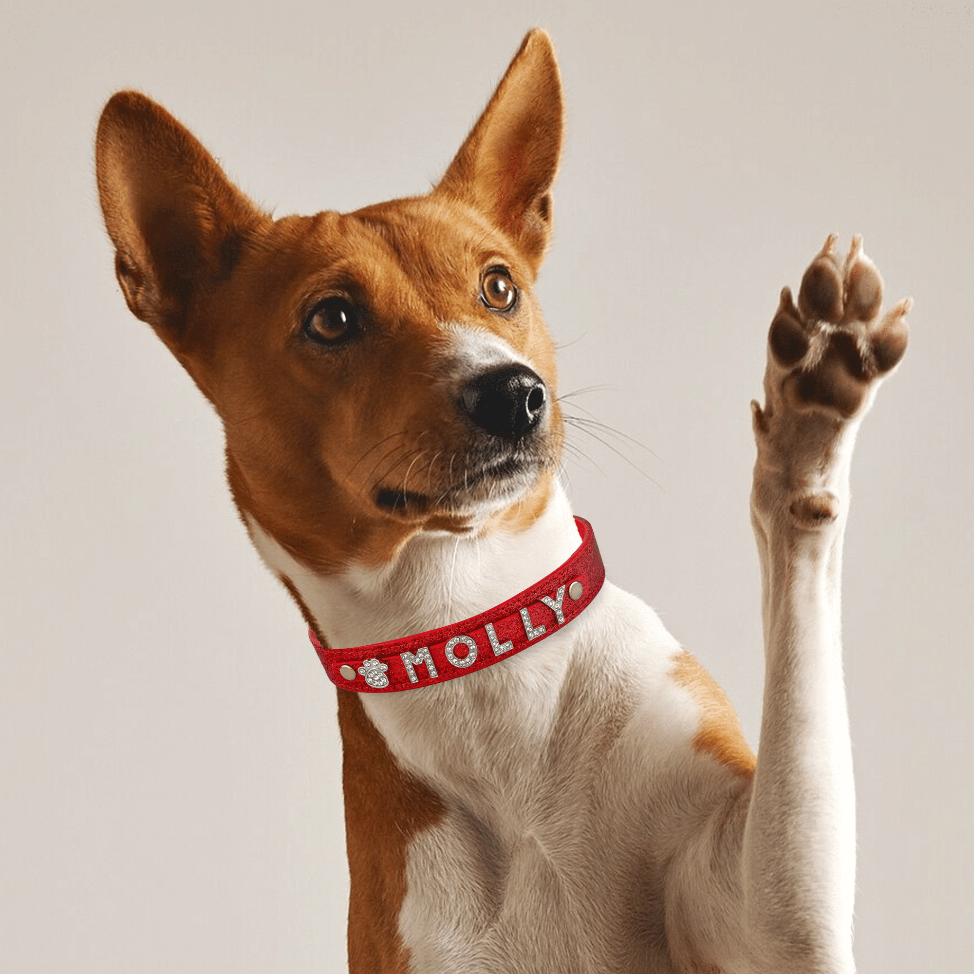 Rhinestone Dog Collar