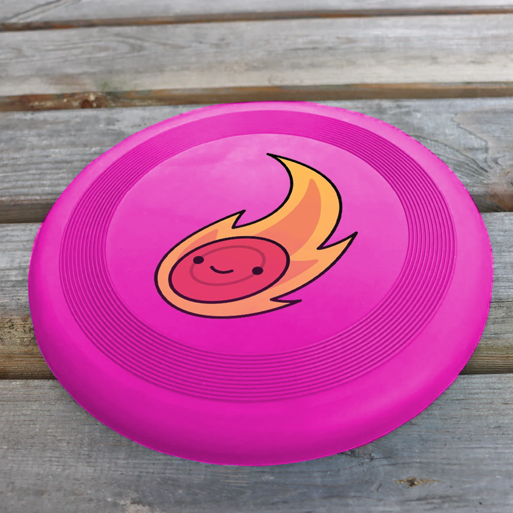 Custom Logo Plastic Flying Disc