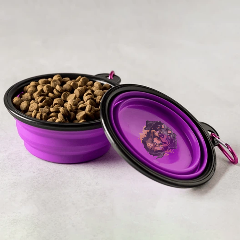 Custom Collapsible Silicone Travel Pet Bowl