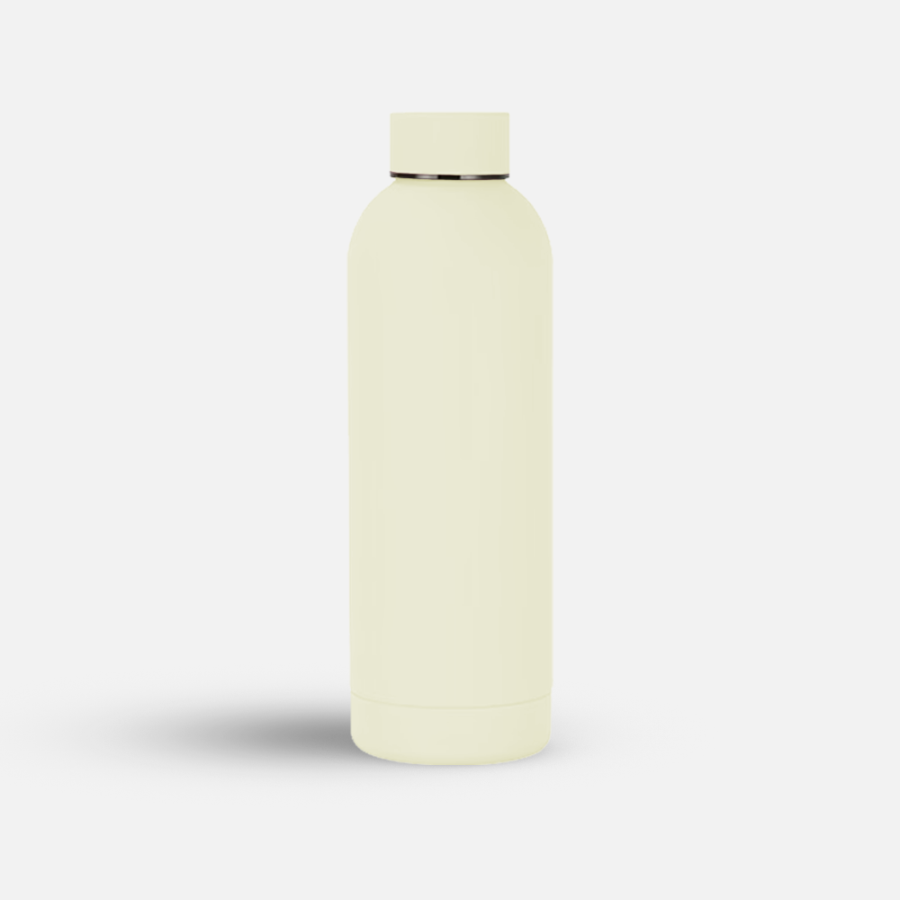 Custom 17oz Stainless Steel Sports Bottle