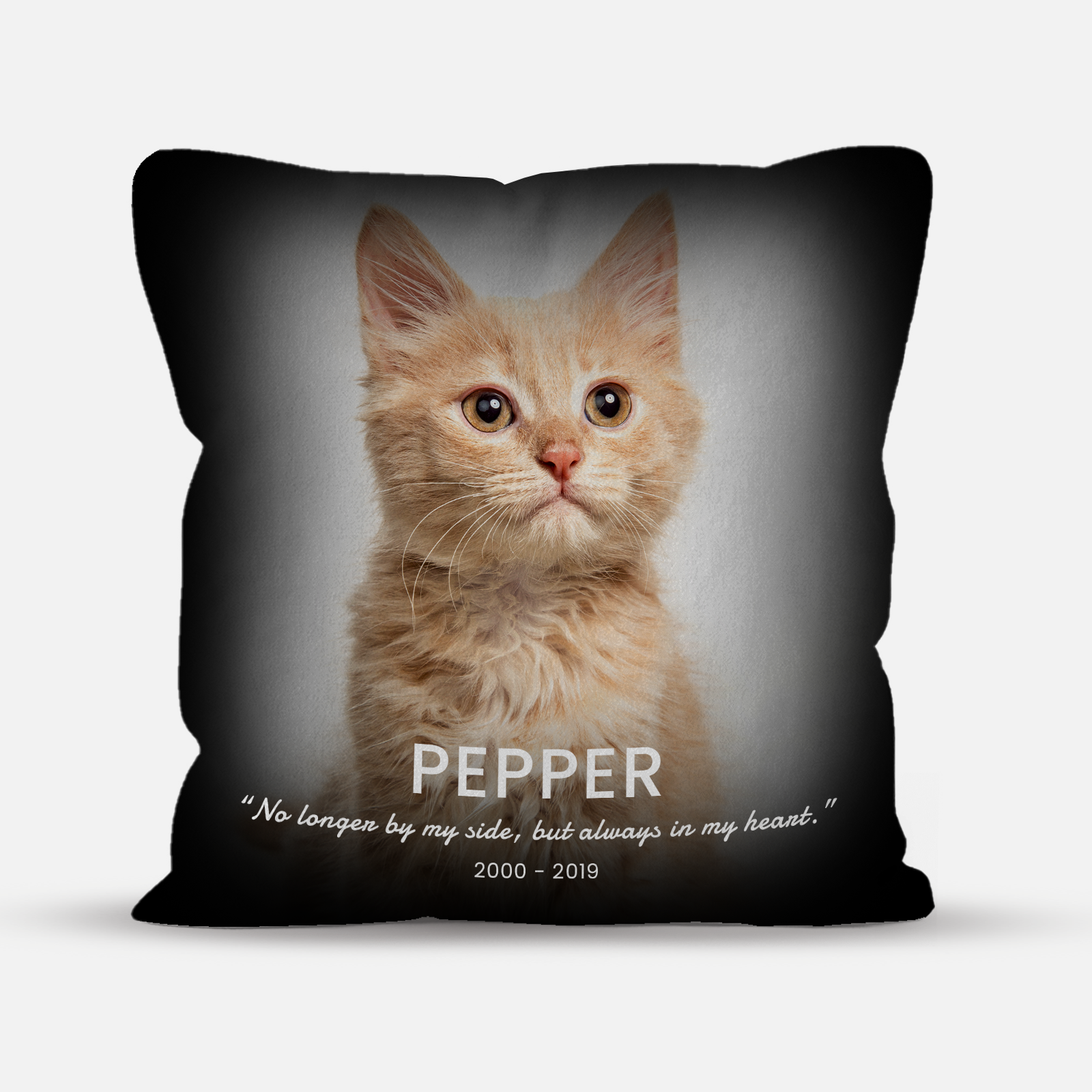 Personalized Pet Memorial Photo Pillow