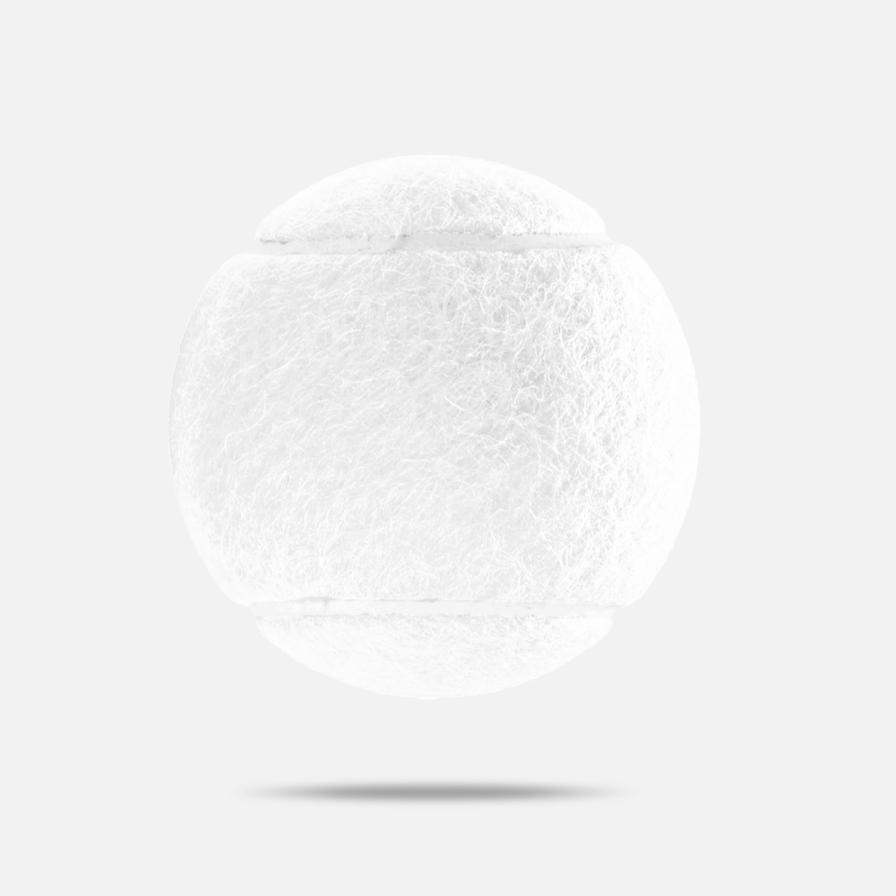 Custom Branded Dog Tennis Ball