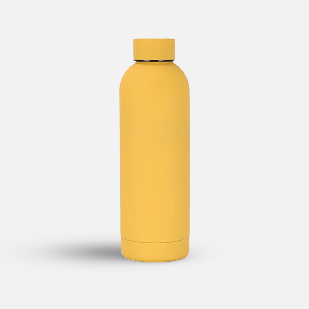 Custom 17oz Stainless Steel Sports Bottle