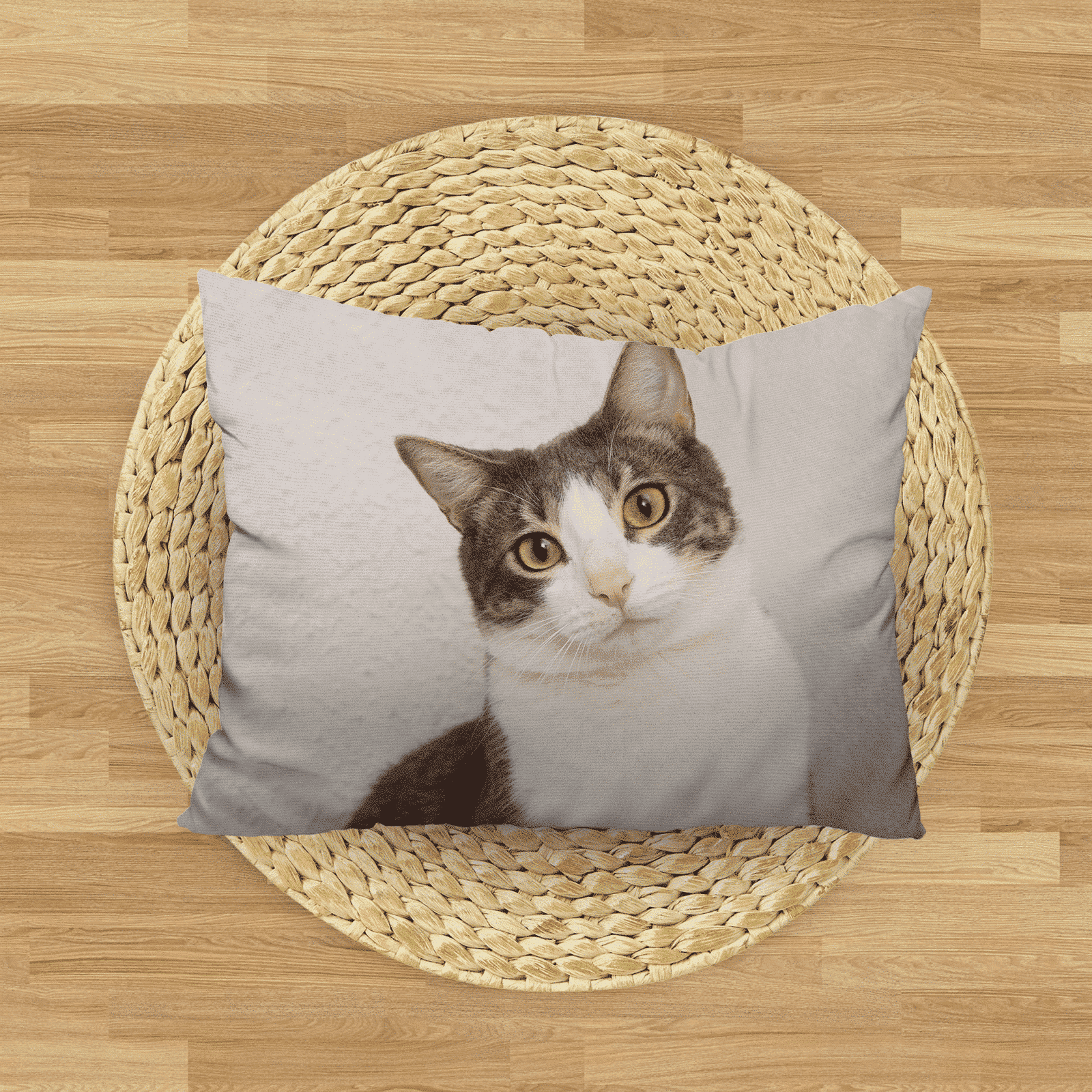 Pet Bed for Dogs and Cats