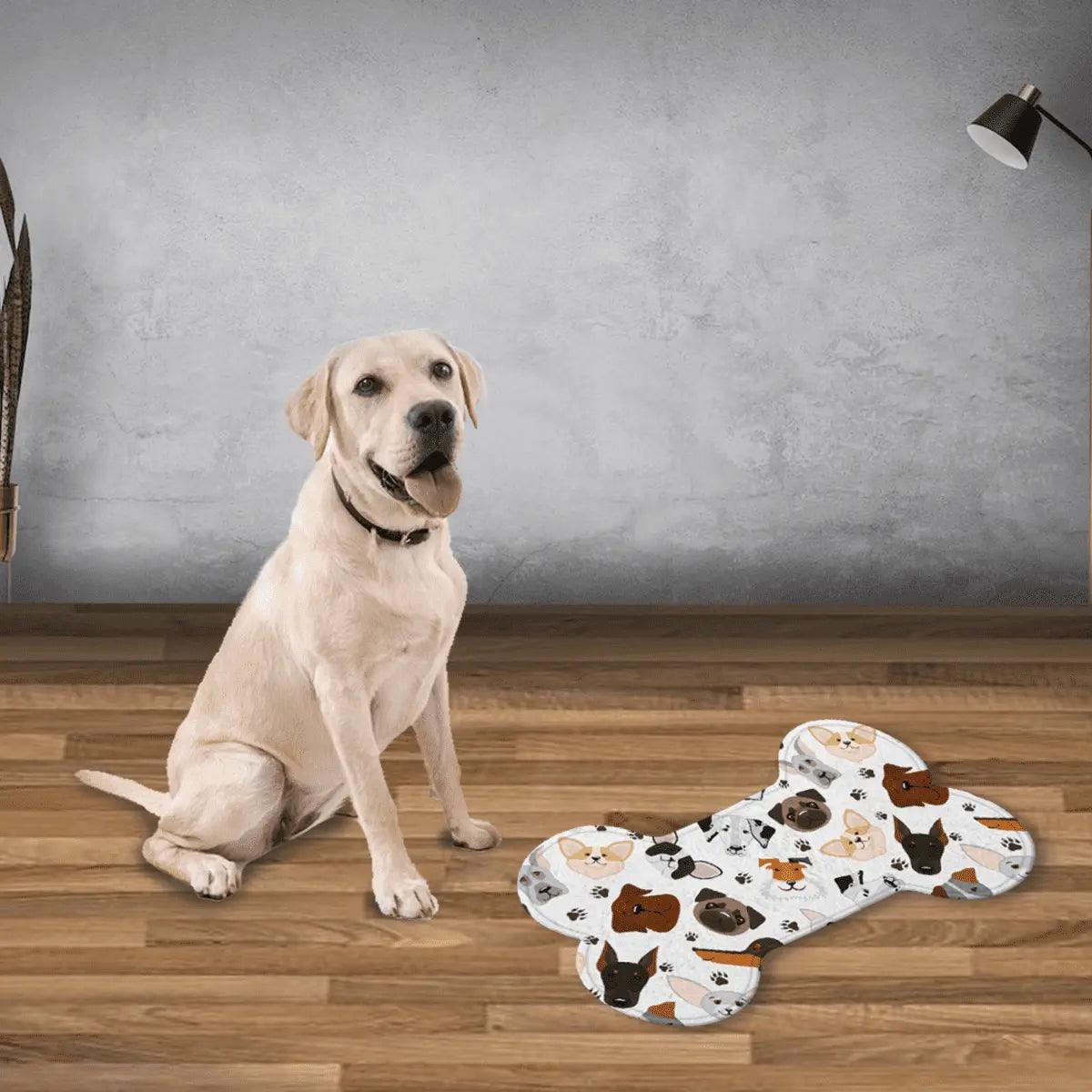 Pet Feeding Mat