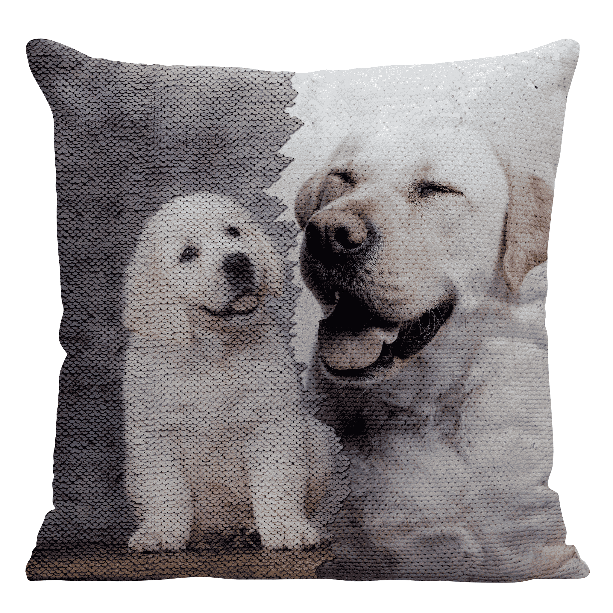 Double Image Reversible Sequin Pillow