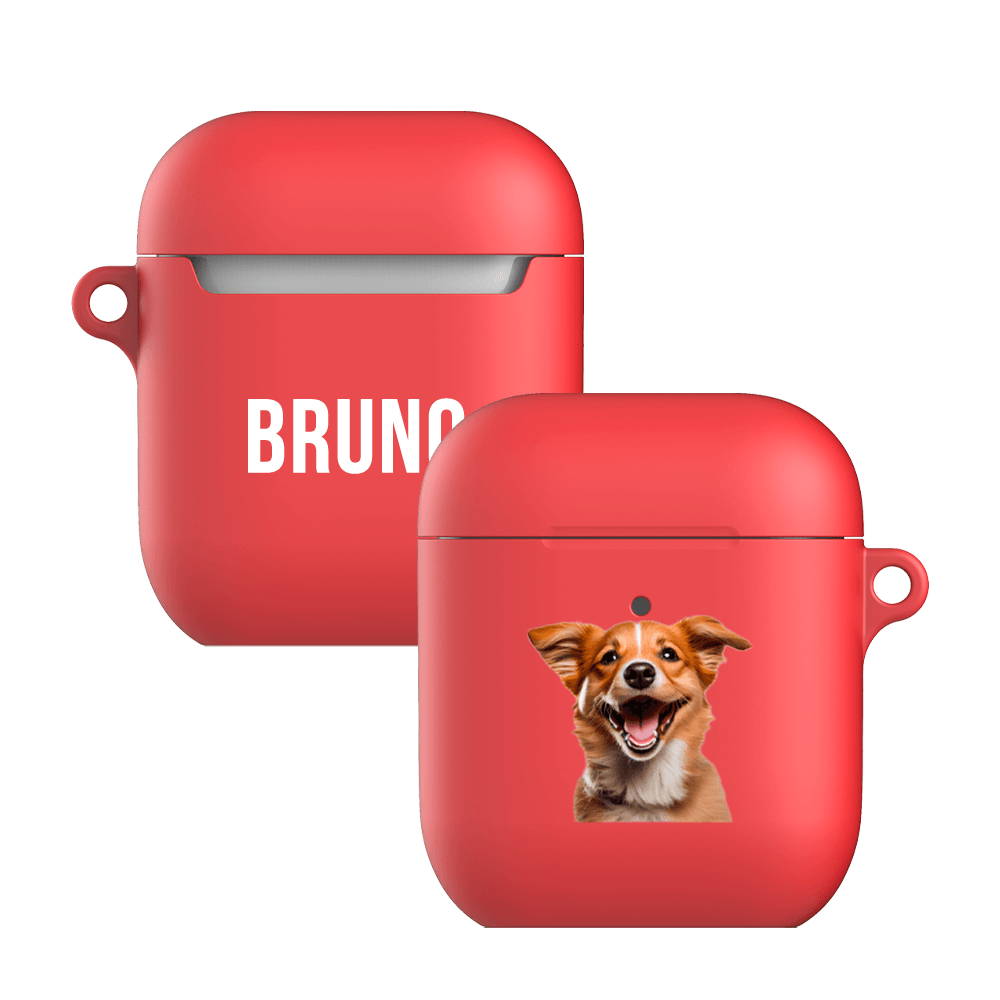 Airpods Case for 1/2 Gen / Pro