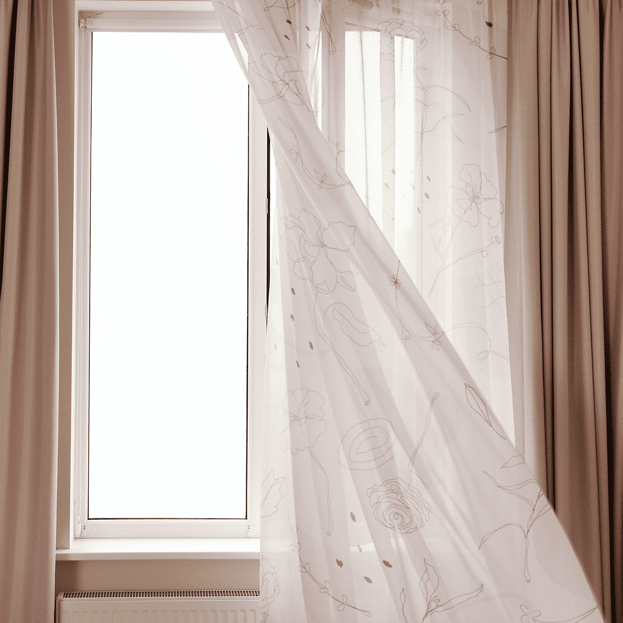 Window Curtains