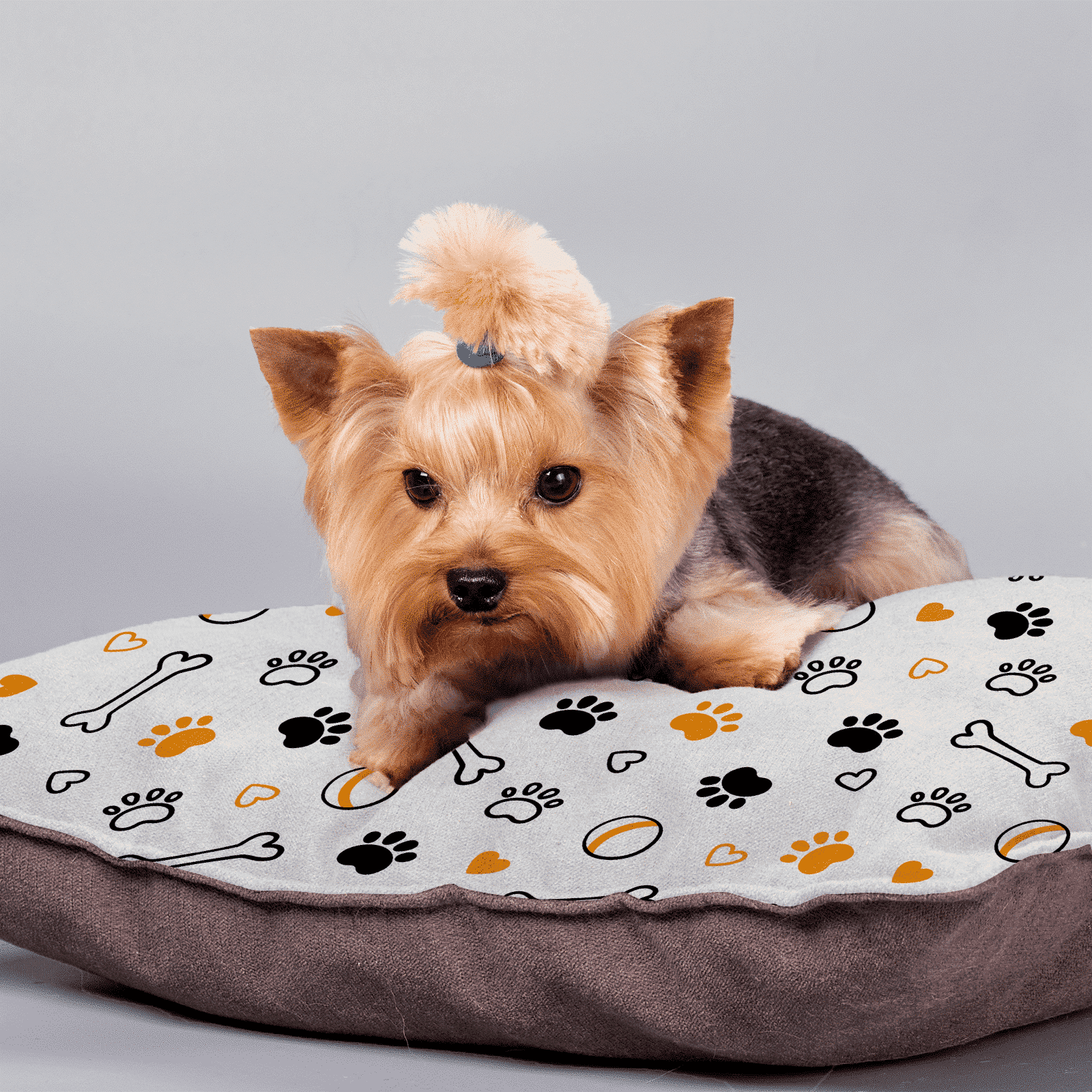 Pet Bed for Dogs and Cats