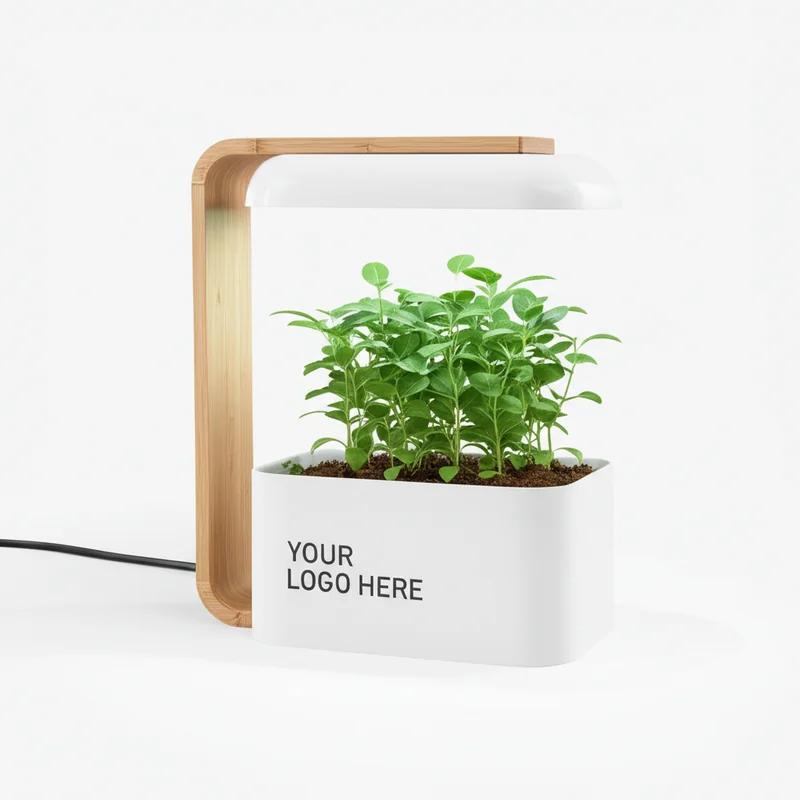 Plant Growing Kit (Desk Planter)