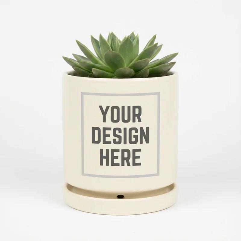 Ceramic Plant Pot 6"