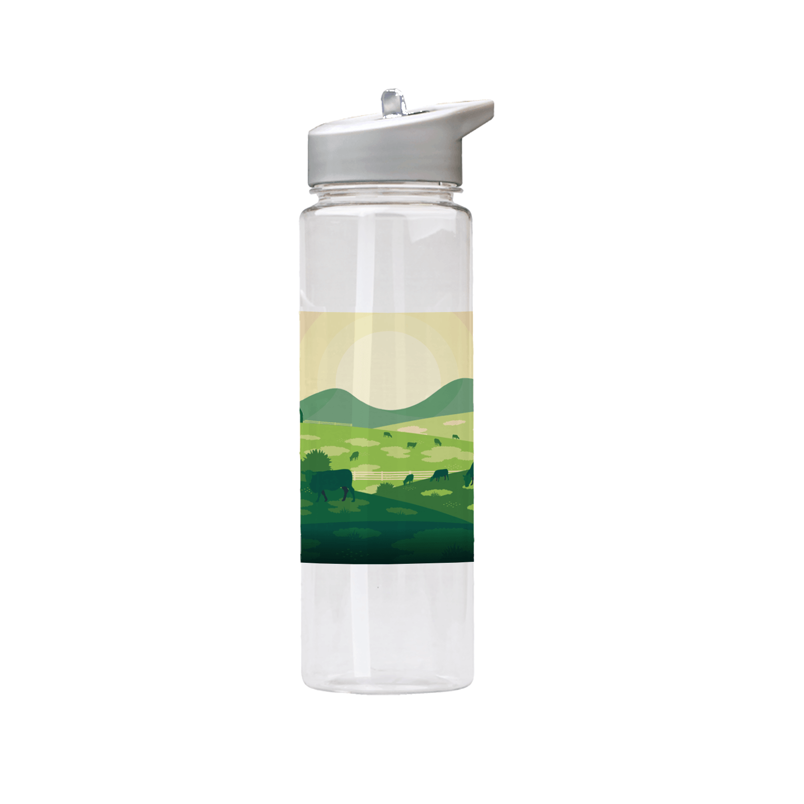 Custom Clear Plastic Water Bottle