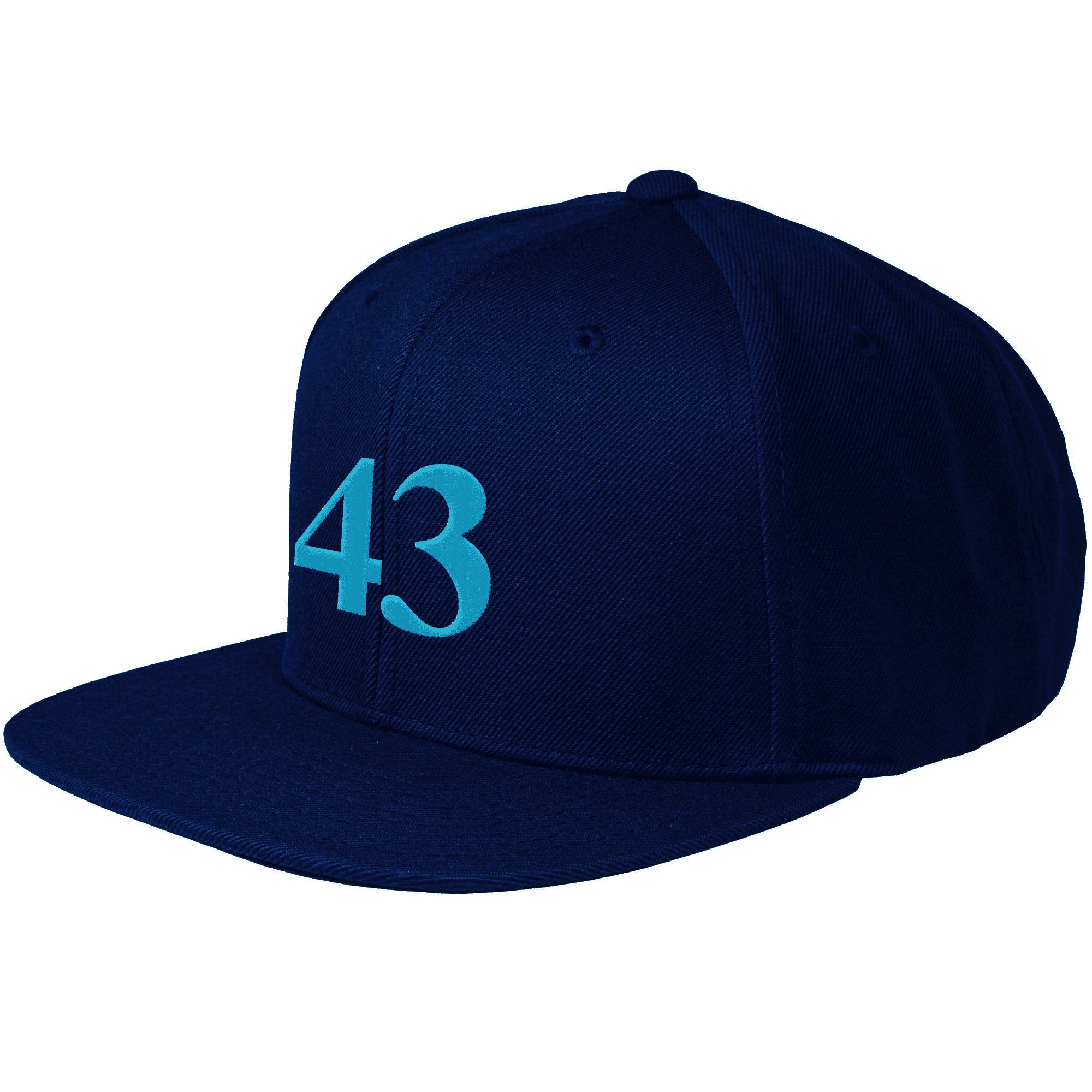 Snapback Hat
