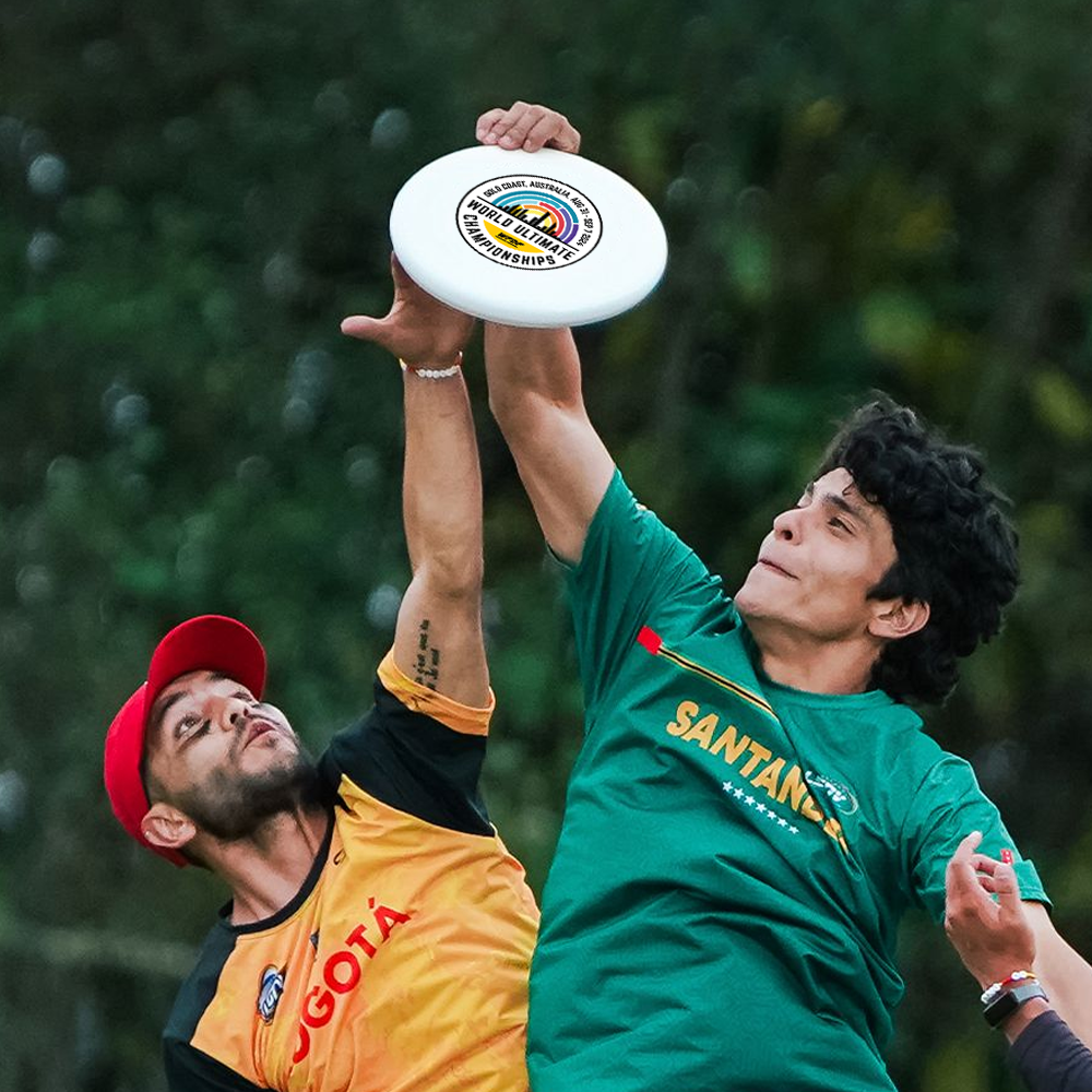 Custom Logo Plastic Flying Disc