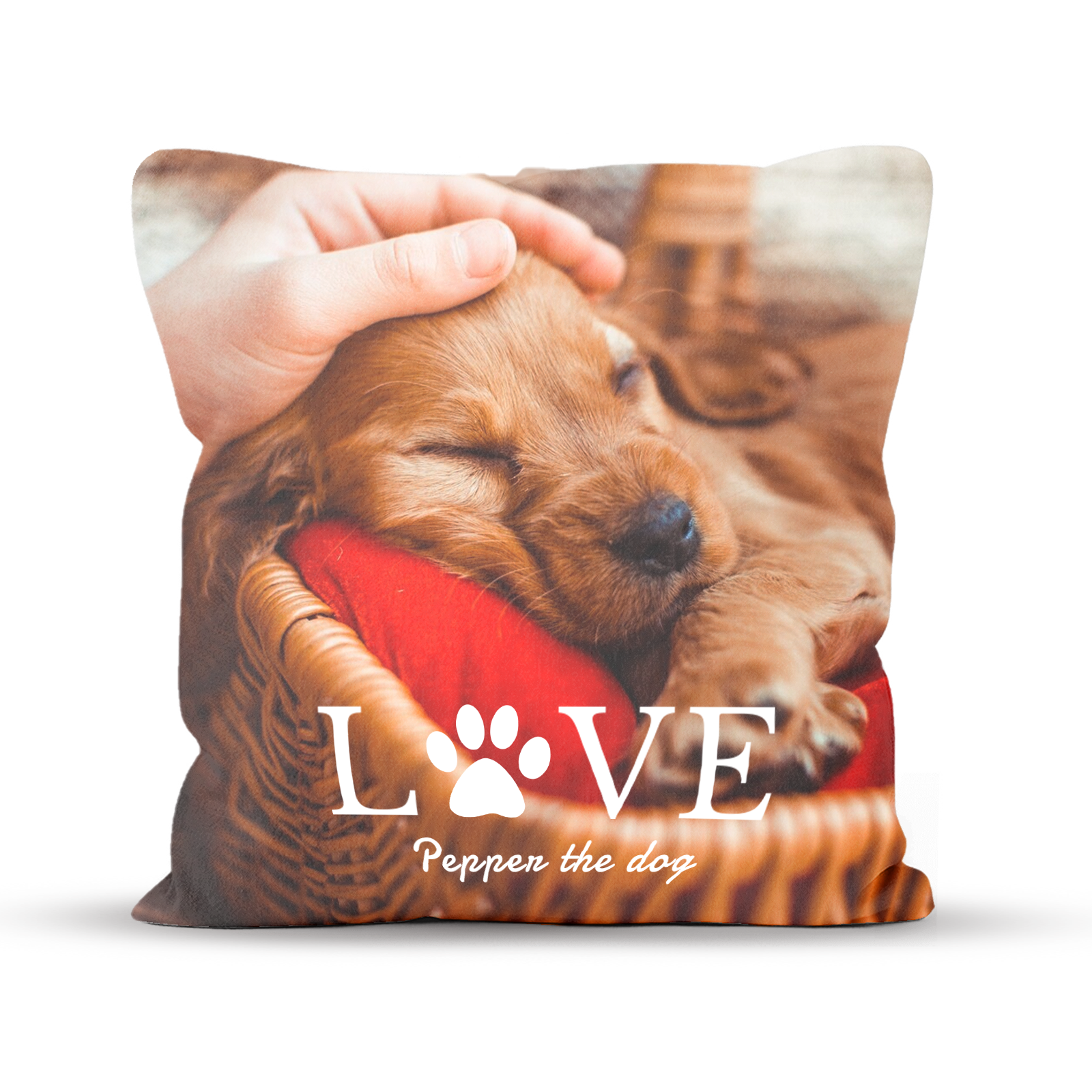 Love Dog Paw Custom Photo Pillow