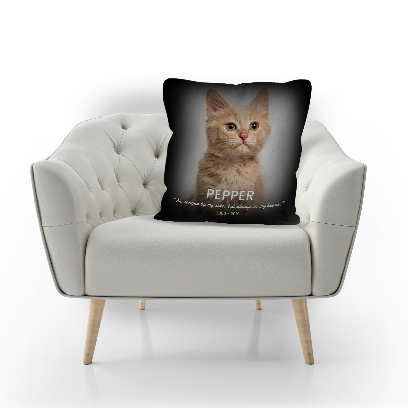 Personalized Pet Memorial Photo Pillow