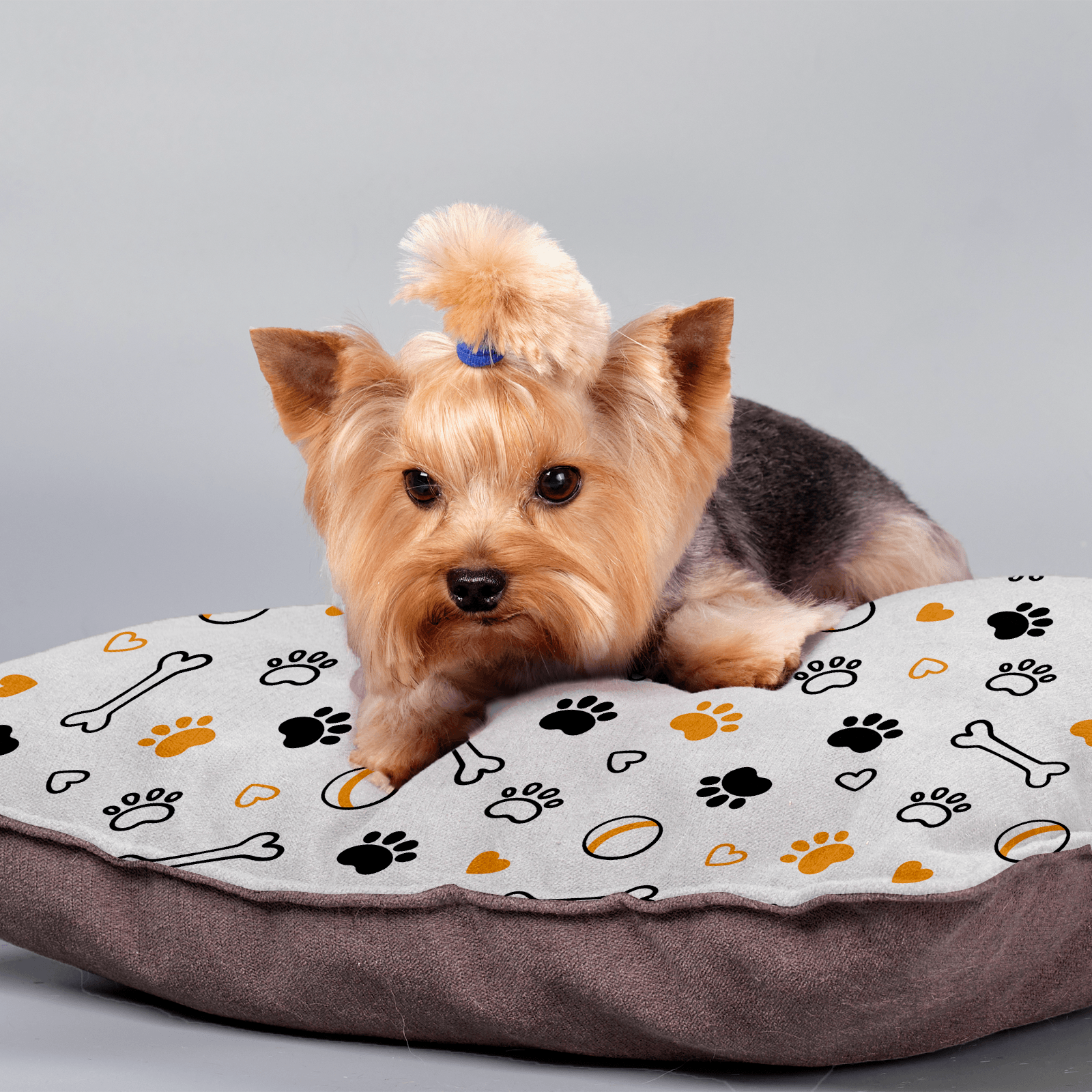 Custom Pet Bed for Dogs and Cats - Qstomize.com
