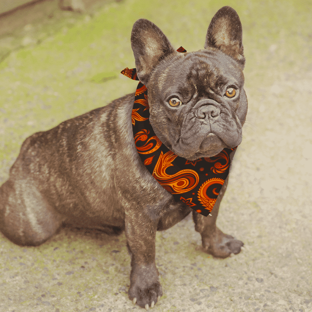 Bandana